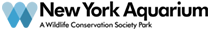 logo image of NYA