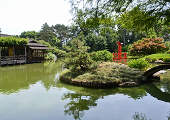 A pond at Brooklyn Botanic Garden