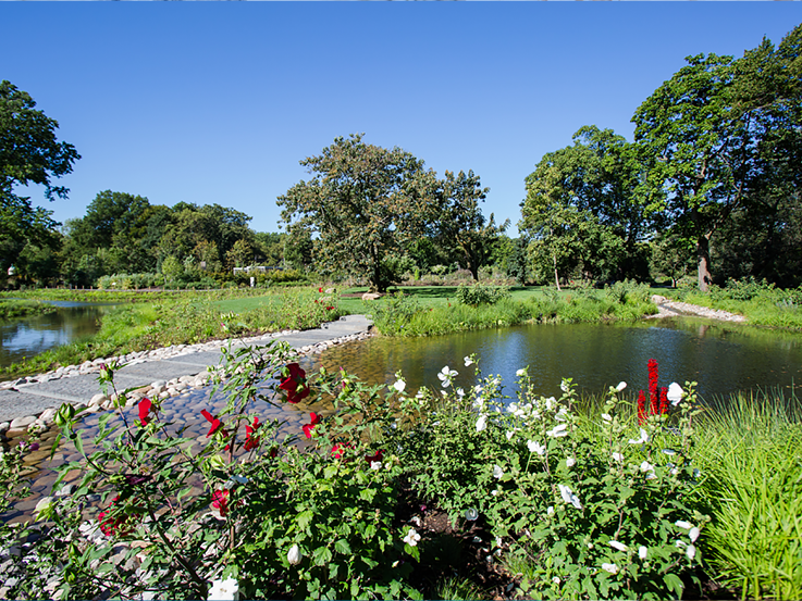 Water Garden Opening at Brooklyn Botanic Garden