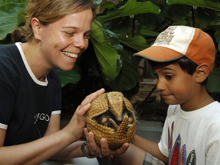 A boy is excited to see a three-banded armadillo