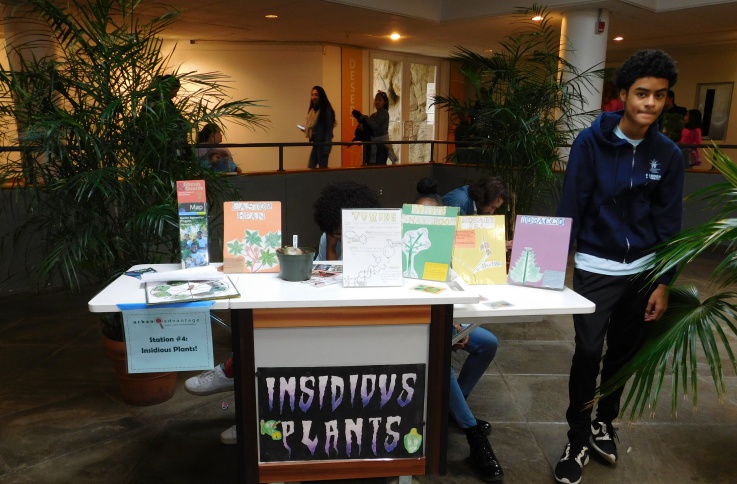 Brooklyn Botanic Garden 2021 All You Need To Know Before Brooklyn Botanic Garden 2021 All You Need To Know Before