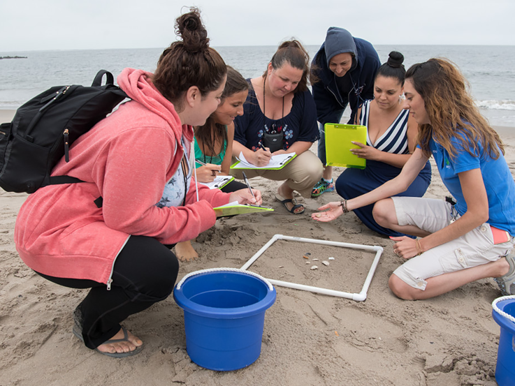 A group of students does investigation on the beach.