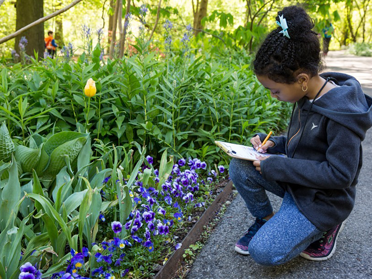 Girl is making notes image