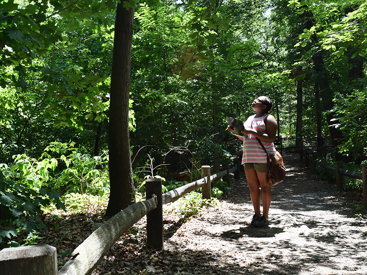 Girl is observing trees image