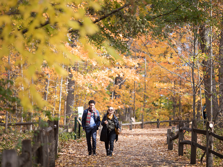 A couple is walking in the fall woods image