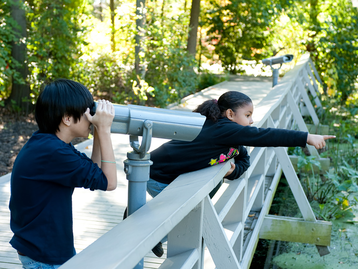 Kids are using telescope