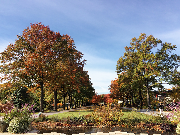 A parkway at Queens Botanical Garden