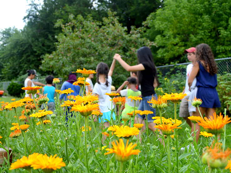 Kids are playing at Queens Botanical Garden