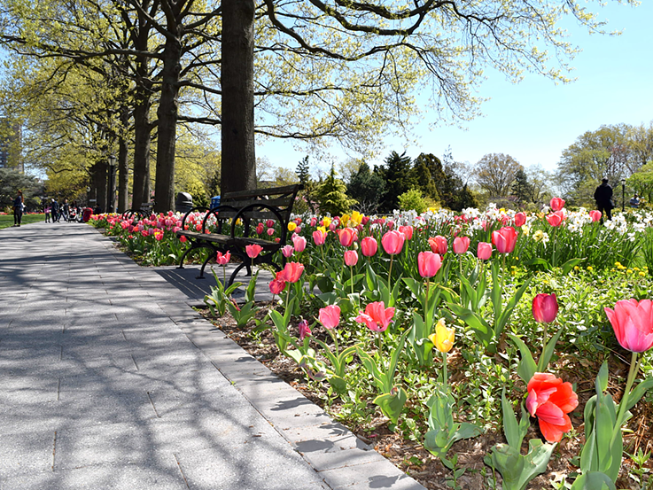 Botanical Garden