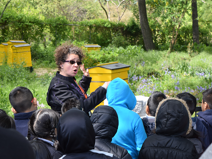 Teacher is showing bee houses at Queens Botanical Garden