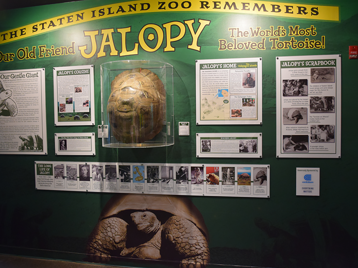 Memory board of Jalopy Tortoise