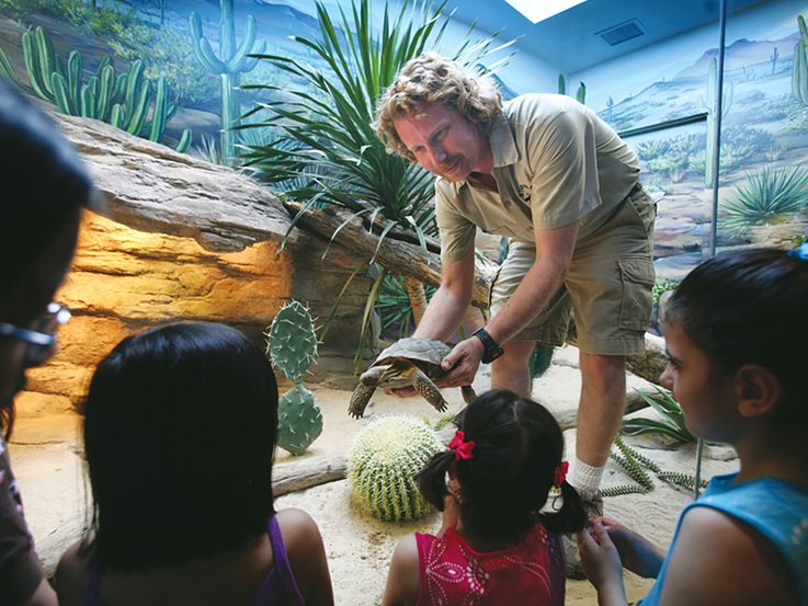 Zookeeper showing Matt Tortoise
