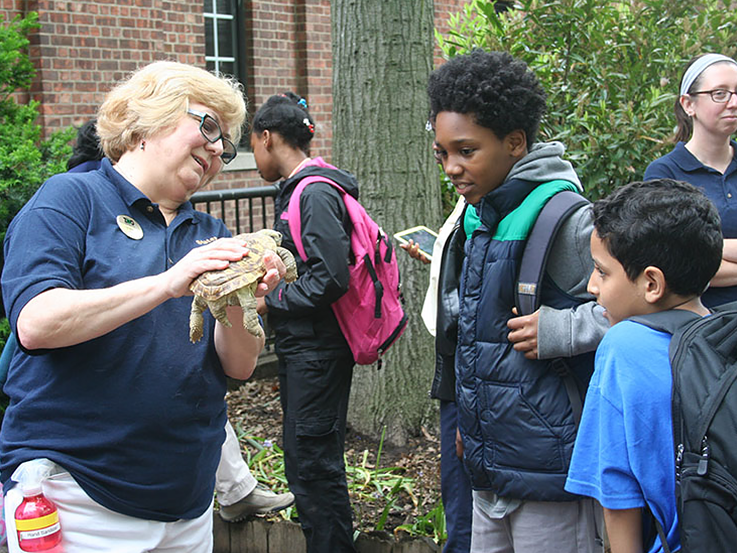 Zookeeper is showing kids McManus Tortoise