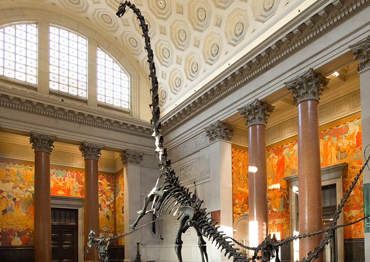 Dinosaur Exhibit at Theodore Roosevelt Memorial Hall