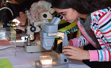 A girl is looking through the microscope