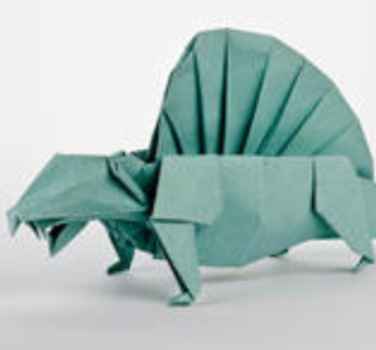 American Museum Of Natural History Presents Origami Folding