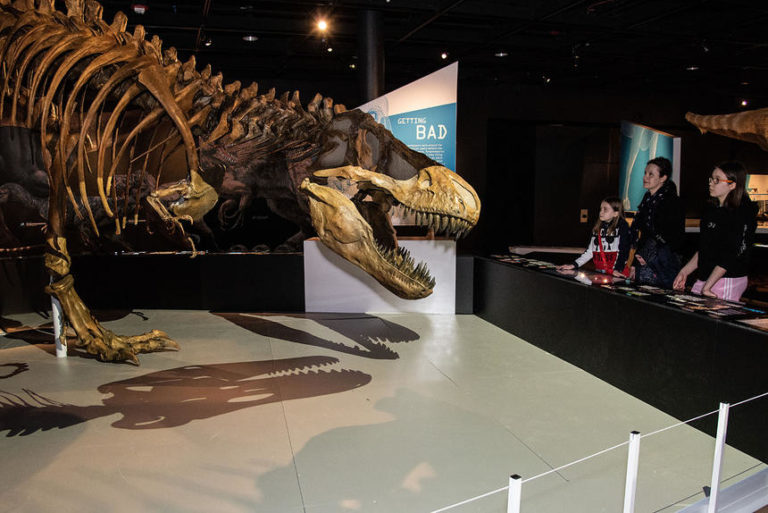 ultimate t rex