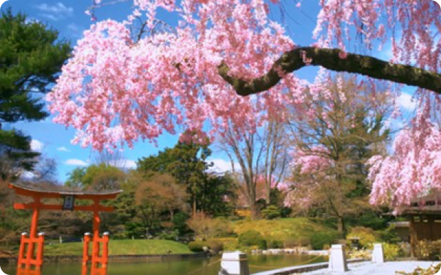 Family Science Day at Brooklyn Botanic Garden