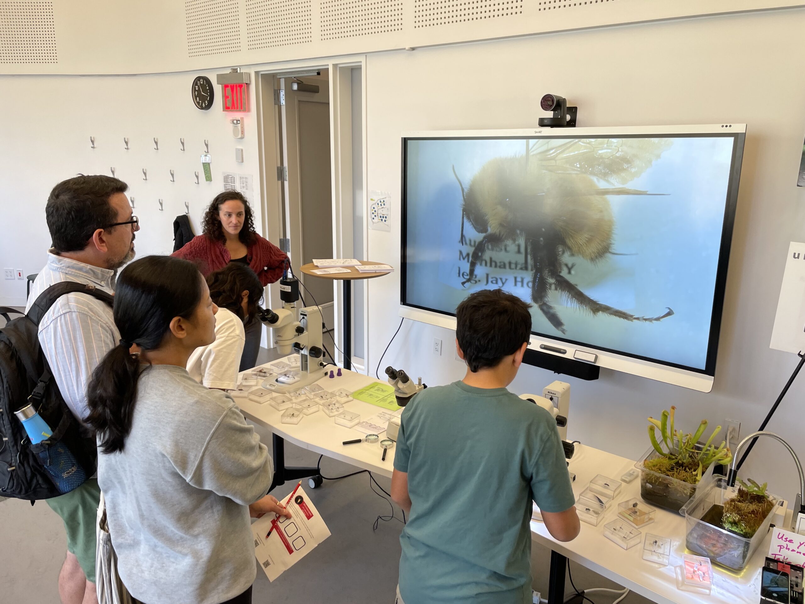 Family Science Day at American Museum of Natural History