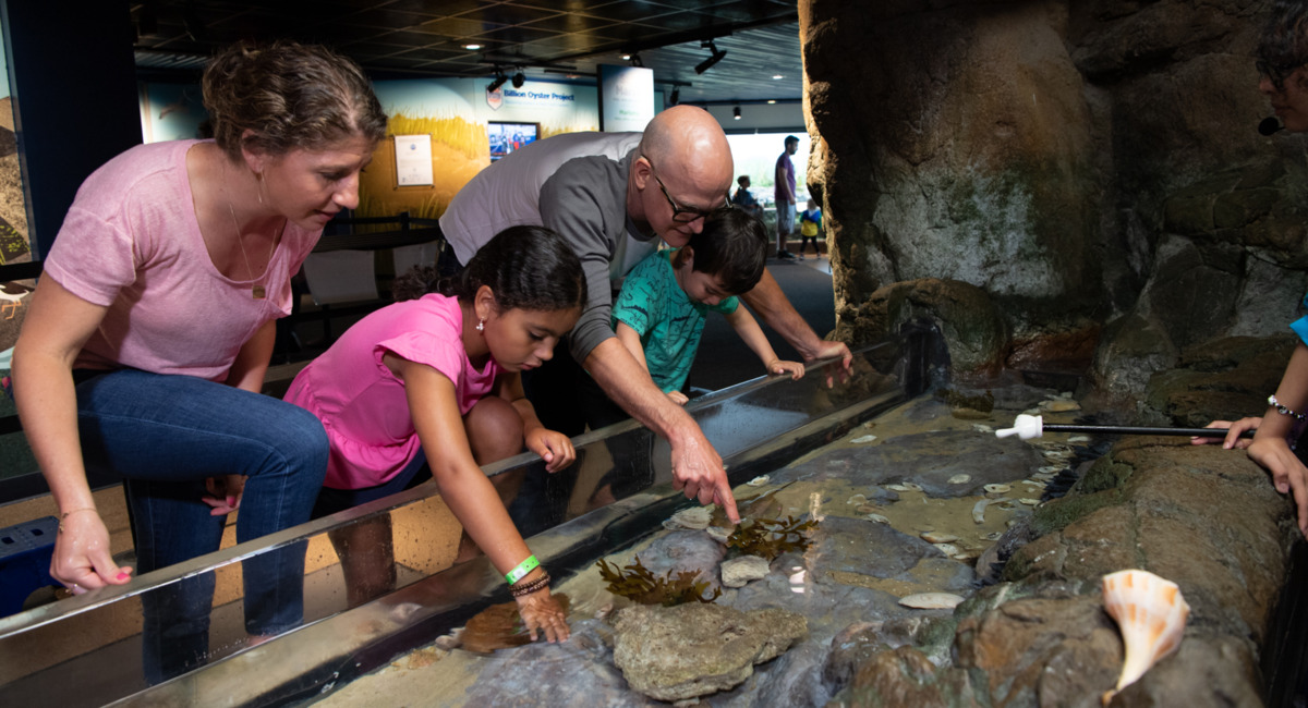 Family Science Day at Bronx Zoo
