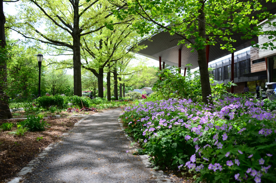 Family Science Day at Queens Botanical Garden