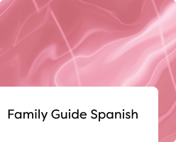 Spanish Guide